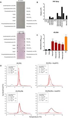 The Antifungal Plant Defensin HsAFP1 Is a Phosphatidic Acid-Interacting Peptide Inducing Membrane Permeabilization